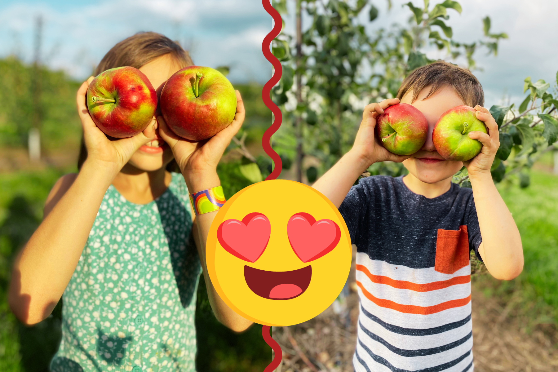 New Apple Varieties for 2023 | Schultz Fruitridge Farms